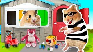 Caution! Stranger Lurking Around Hamster's House!HAMSTER OBSTACLE COURSEHammyHappyTDC