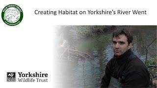 Creating Habitat on Yorkshire's River Went