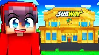 $1 vs $1,000,000 SUBWAY in Minecraft!