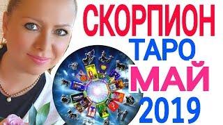 СКОРПИОН ТАРО ПРОГНОЗ на МАЙ 2019/СКОРПИОН МАЙ 2019