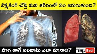 How Smoking Kills Explained in Telugu | How to Stop Smoking | Telugu Badi