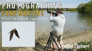 Photographing Sand Martins | Two new vlog features introduced!