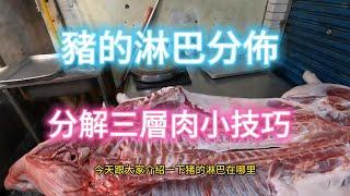 Taiwan Style 豬肉剝骨! 淋巴分佈與分解豬肉影片!! This issue introduces lymph distribution and decomposing pork video