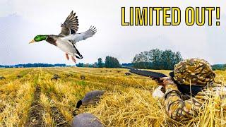 SOLO .410 DUCK HUNT CHALLENGE!! (Banded Mallard)