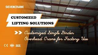 Customized Single Girder Overhead Crane for Factory Use - SEVENCRANE