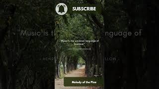Soothing Nature Sounds & Mountain Melodies for Relaxation #relax #stressrelief