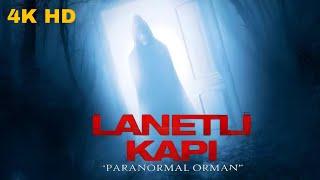 Lanetli Kapı Paranormal Orman | Türkçe Dublajlı Korku Gerilim Filmi - Full HD