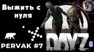 Новичок выживает с нуля в DayZ | PERVAK PVE #6 | Жизнь после вайпа