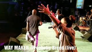 WAY MAKER - Sean Sobers & Prophetic Breed (Live)