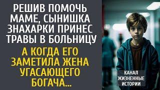 Решив помочь маме, сын знахарки принес травы в больницу… А когда его заметила жена угасающего богача