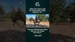 #horse #vaquero #fyp #carsonjames #equestrian #rayhunt #buckaroo #shorts #clips #horses #horselife
