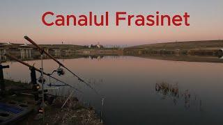 Canalul Frasinet - Cum sa prinzi mult caras