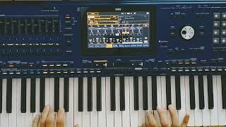 Bobi - Zimne noce ( Euro Disco Style & Danekoo1 ) Korg Pa5x Musicant