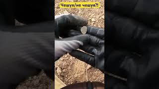 #2024 #metaldetecting #noktasimplex #find #находки #чешуя #монеты #поле #xp #apex