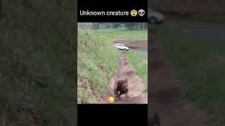 unknown creature | mysterious creature caught on camera  #shorts #youtubeshorts #ytshorts #mystery