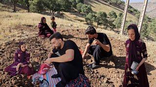 "Ruqiyah and Hamed: Planting hope in the garden and a story of love and danger"