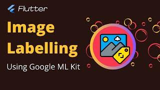 Flutter - Image Labelling using Google ML Kit [2022]