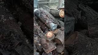 Зберігання деревини для токарних робіт. Storing wood for turning work.