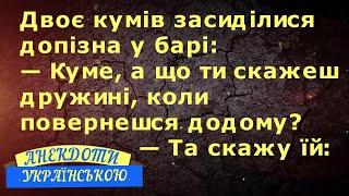 ДВОЄ КУМІВ У БАРІ ... АНЕКДОТИ УКРАЇНСЬКОЮ. Гумор по-українськи. Українські анекдоти. Позитив 100%