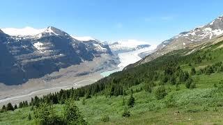 Parker Ridge Trail - Easy Hike Icefields Parkway