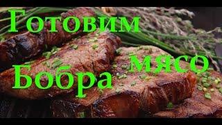 Готовим мясо бобра, жарим бобра в духовке! Cooking meat beaver, beaver roast in the oven!