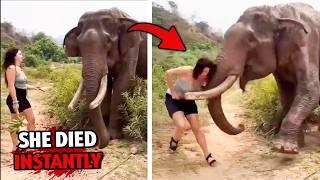 5 Most SHOCKING Animal Attacks You’ve Never Heard Of...