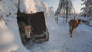 Якутия /Мальжегар, Нюрбинский улус/ Yakutia