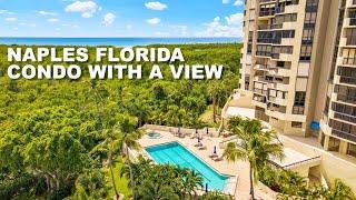 NAPLES CONDO WITH A VIEW - NAPLES FLORIDA CONDO - [2020]