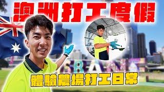 我到澳洲打工度假了！比台灣工作好賺又輕鬆？！