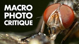 I Critique YOUR Macro Photos!