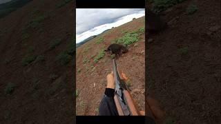 Охота на дикого кабана на очень близком расстоянии #cinghiale #chasse #wildboar #охота #дикий кабан