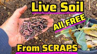 How to Make SOIL for FREE & SAVE Money EASY Natures Way for Gardening Vegetables in Container Garden