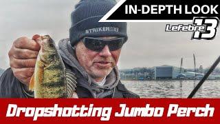 How To Catch Perch With A Drop Shot