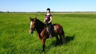 Horseriding