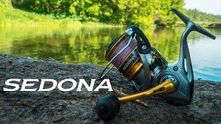 Обзор катушки Shimano Sedona FI