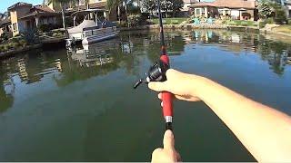 Bass Under Docks Smash Top Water Frogs!