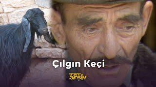 Çılgın Keçi (1987) | TRT Arşiv