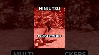 TOMO RYU SHINOBIJUTSU - Historical Ninjutsu Training  #Shorts #Ninjutsu #MartialArts