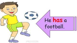 sight word has