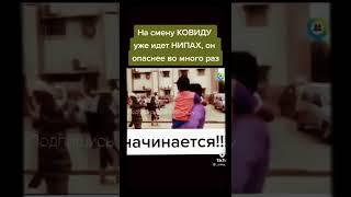 《НИПАХ》. . .