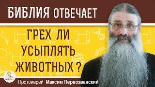 Грех ли УСЫПЛЯТЬ ЖИВОТНЫХ ? Протоиерей Максим Первозванский