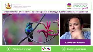 Экосистемы: сложность, разнообразие и вклад в благосостояние общества. Лекция Станислава Шмелёва