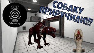 SCP: Secret Laboratory - Смешные моменты (1)