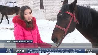 20-летняя девушка открыла конеферму в Костанайской области