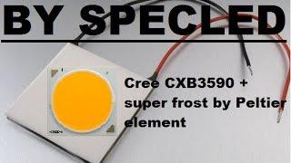 Охлаждение COB led матрицы 50Вт элементом Пельтье. Cree CXB3590 DIY KIT. Фитолампа