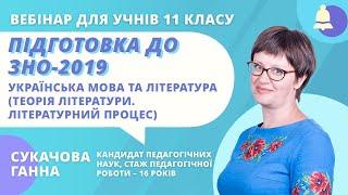 Підготовка до ЗНО-2019: Українська мова та література (Теорія літератури. Літературний процес)