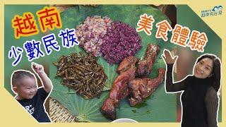 超特別香料! 越南少數民族美食初體驗 Ăn châu chấu, xôi ngũ sắc ngay lòng Hà Nội