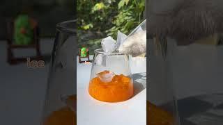 【Chef Cat ChangAn】Drinking Orange Soda is like In Summer #JucieRecipe #CatCookingFood #Shorts