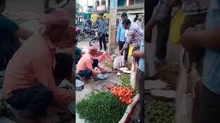 Paech Bar#Dharmendra Kumar Yadav 565#trending #short video