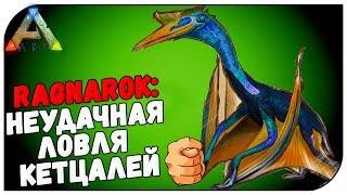 ARK Survival Evolved  Ragnarok: Неудачная ловля Кетцалей (Первая Виверна)